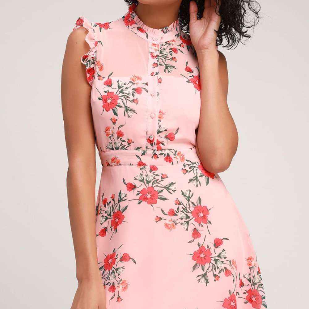 Porch Swing Blush Pink Floral Print Skater Dress